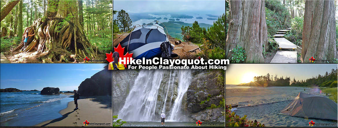 Hike Clayoquot Sound, Tofino and Ucluelet