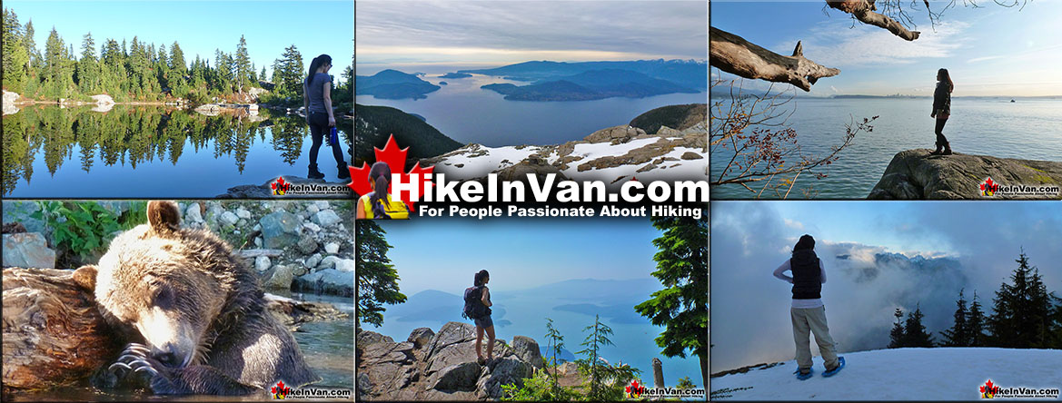 Vancouver's Best Hiking Trails