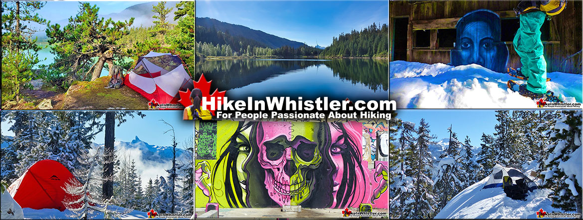 Best Whistler Hiking Guides