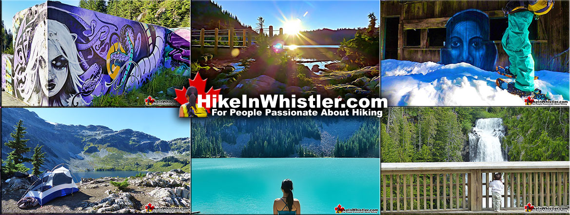 Amazing Whistler Hiking Trails