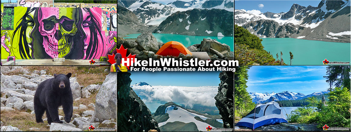 Incredible Hiking Trails in Whistler