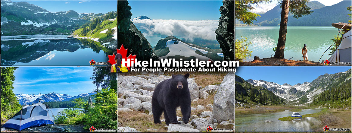 Whistler and Garibaldi Park Guide 7