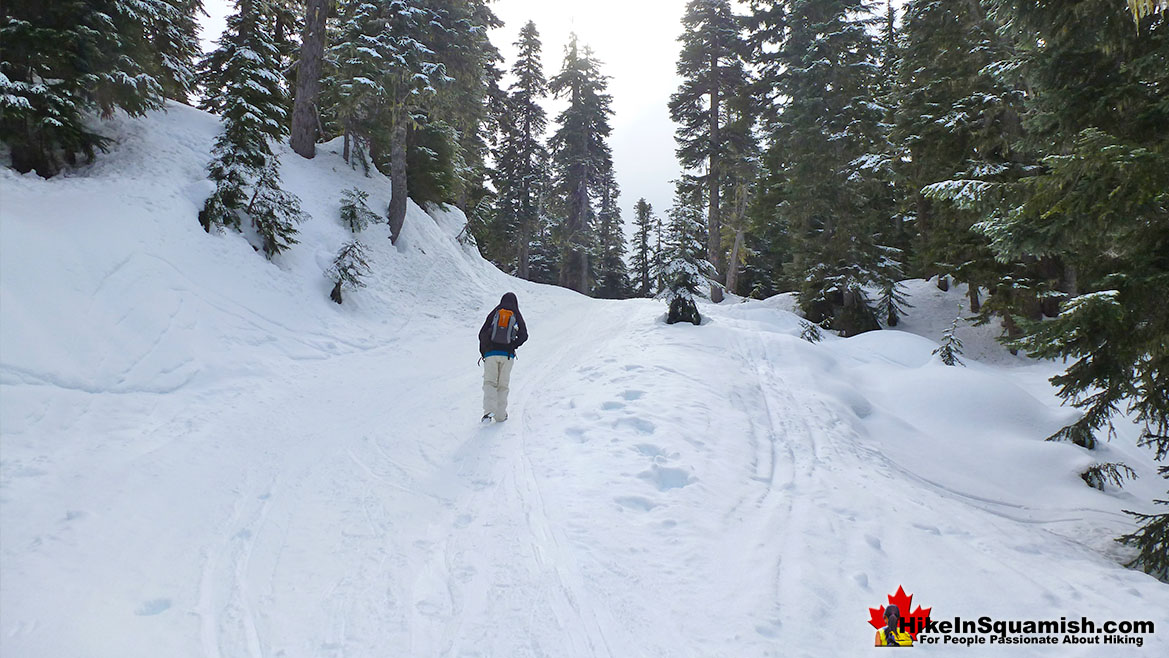 Elfin Lakes Snowy Trail