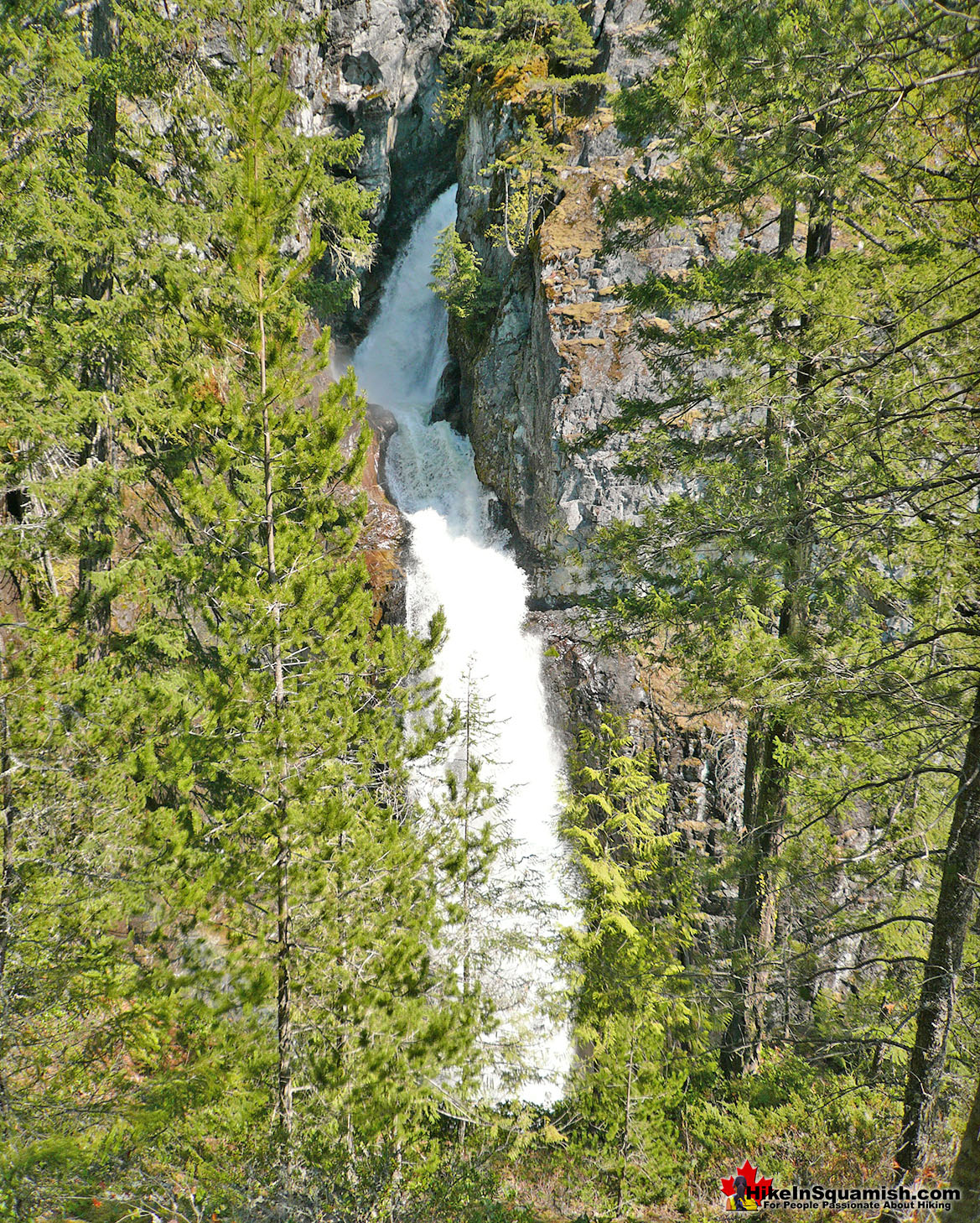 High Falls Trail Hike in Squamish