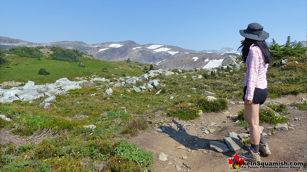Panorama Ridge Trail