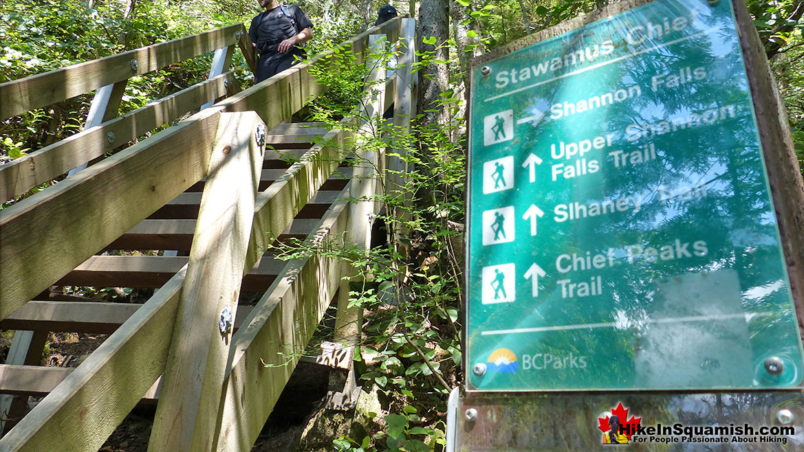 Upper Shannon Falls Trail