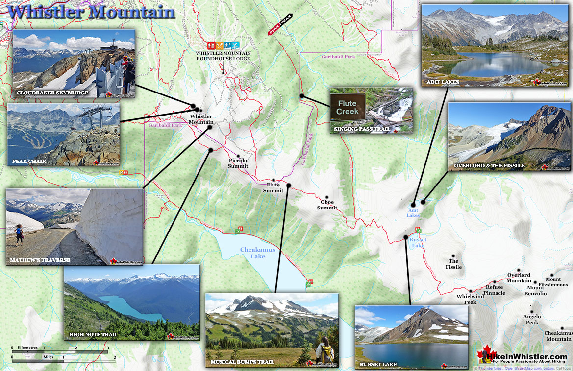 Whistler Mountain Trails Map v20